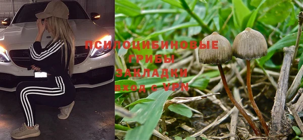 spice Алзамай