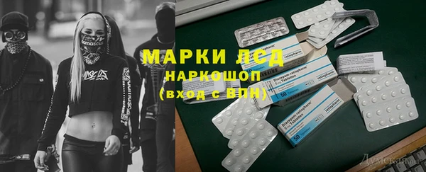 spice Алзамай
