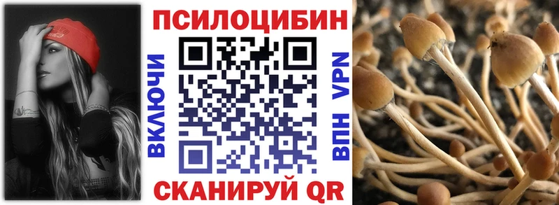 Галлюциногенные грибы прущие грибы  Купить закладки  Старица 